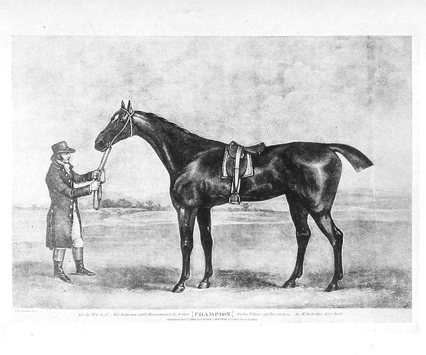 Champion (1797) Image of Champion (1797)