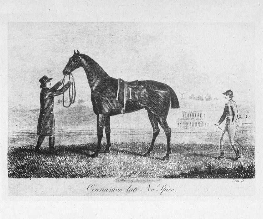 Image of Cinnamon (1797)