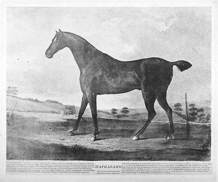 Image of Haphazard (1797)