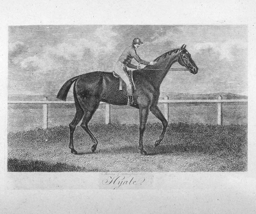 Hyale (1797) Image of Hyale (1797)