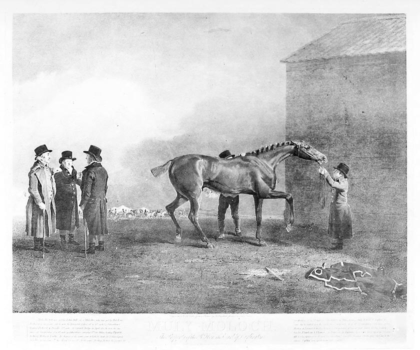 Muly Moloch (1798) Image of Muly Moloch (1798)