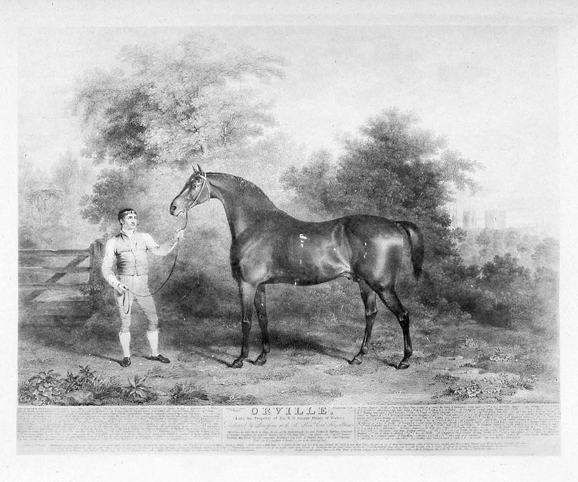 Orville (1799) Image of Orville (1799)