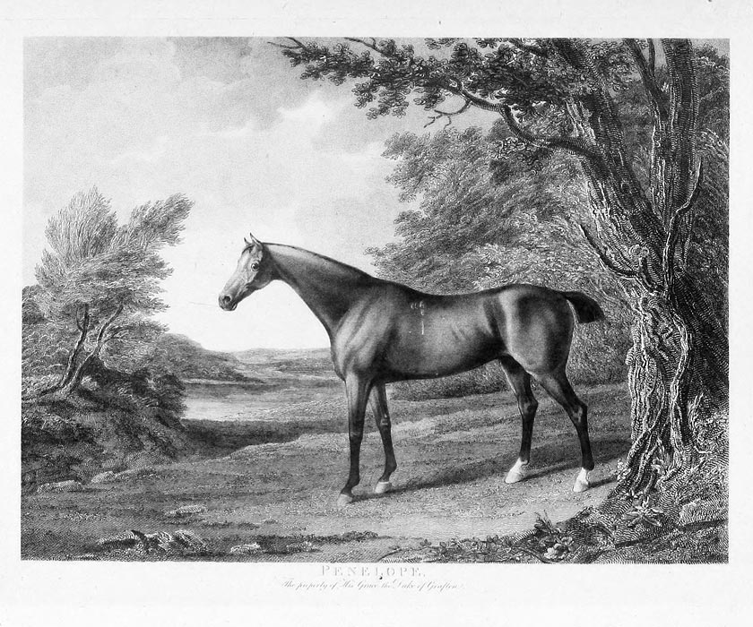 Penelope (1798) Image of Penelope (1798)