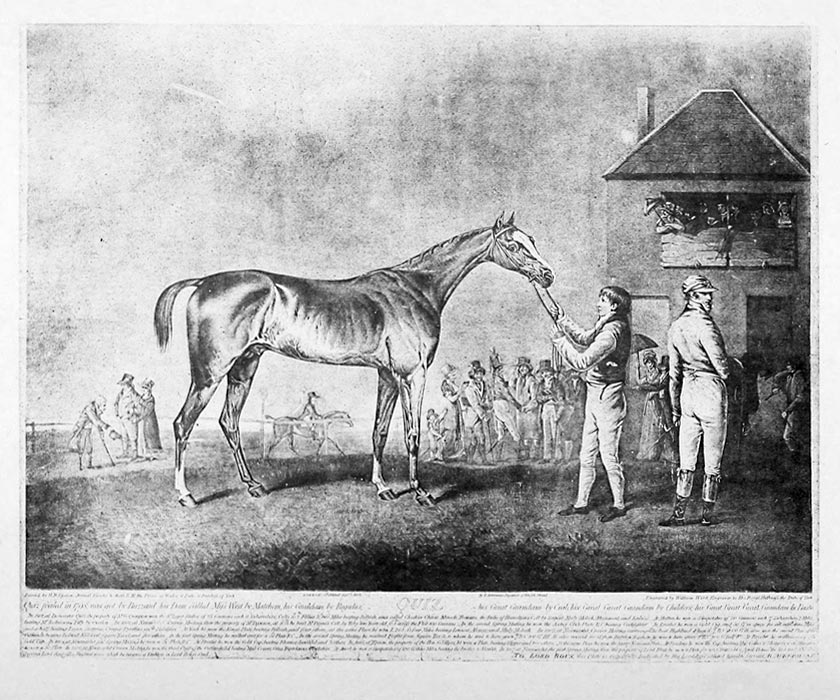 Quiz (1798) Image of Quiz (1798)