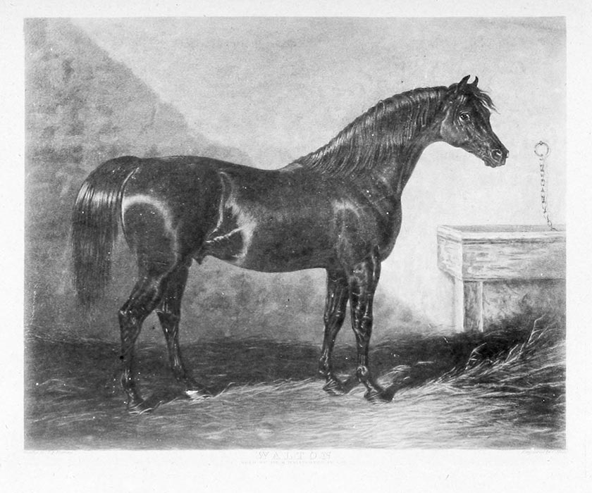 Walton (1799) Image of Walton (1799)